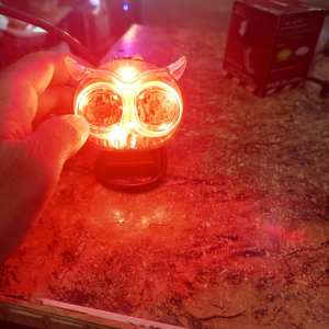 Mini Driving Owl Light