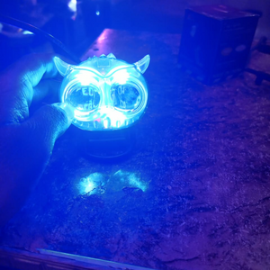 Mini Driving Owl Light