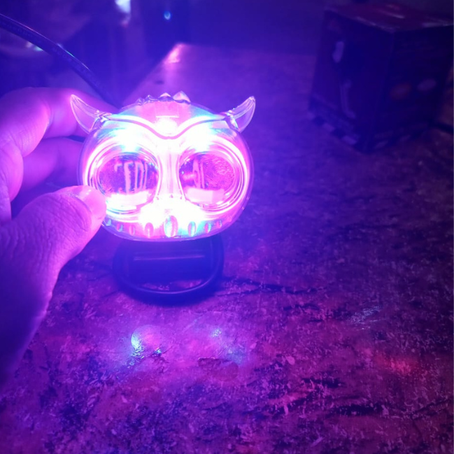 Mini Driving Owl Light
