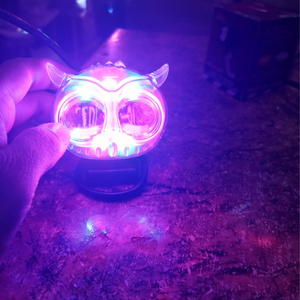 Mini Driving Owl Light