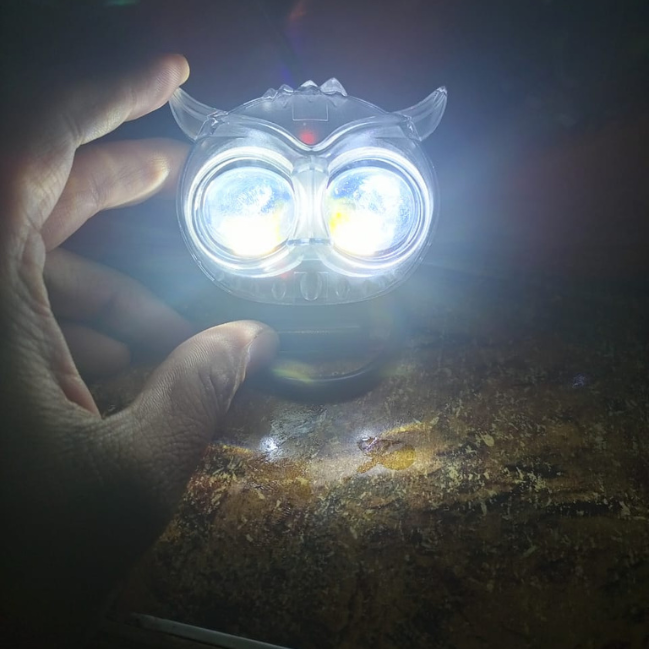 Mini Driving Owl Light