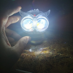 Mini Driving Owl Light