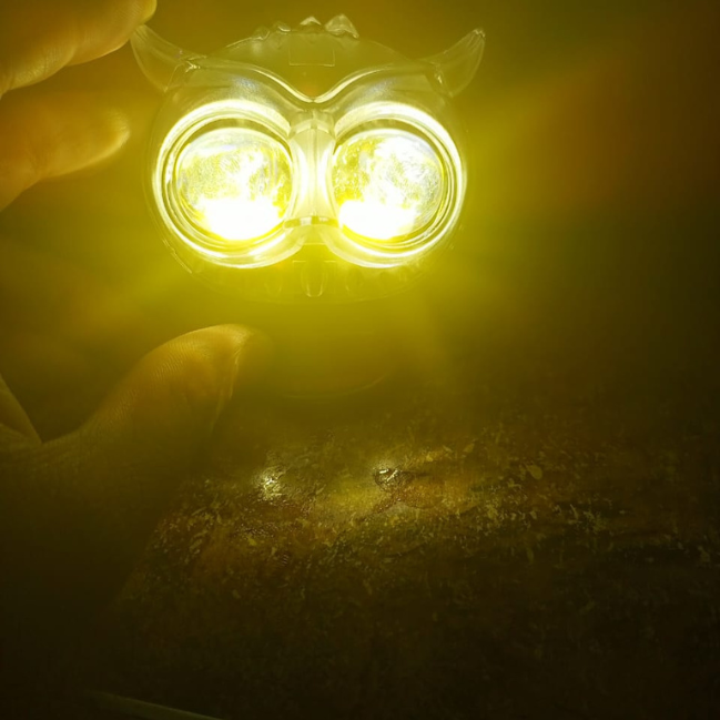 Mini Driving Owl Light
