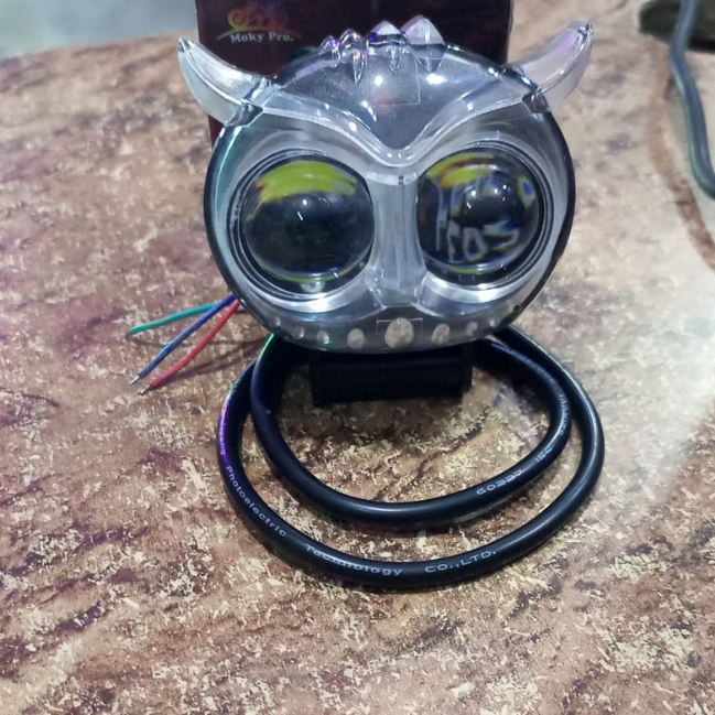 Mini Driving Owl Light